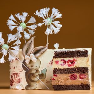 Tort Duo Choco